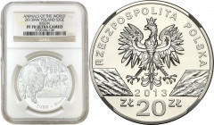 Polish collector coins after 1949
POLSKA / POLAND / POLEN / POLOGNE / POLSKO

3rd Republic of Poland. 20 zlotys 2013 Gold NGC PF70 ULTRA CAMEO (MAX...