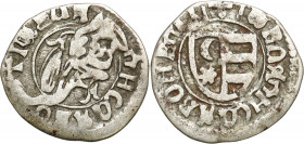 COLLECTION Medieval coins - WORLD
POLSKA / POLAND / POLEN / SCHLESIEN / GERMANY / ENGLAND

Moldova, Władysław II. Denar 

Patyna.

Details: 0,5...