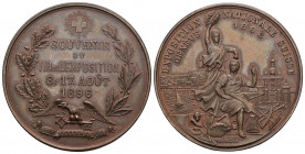 Genf 1896 Schützenfest Kupfer 40mm Ri: 692a unz