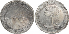 USA Republik 1837 8 Reales Silber sehr selten Berieben sonst unzirkuliert