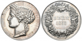 Bern 1895 Landwirtschafts Austellung Silber 53,1g 50mm fast unzirkuliert