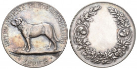 Zürich 1897 Hundeausstellung Silber 24,9g selten FDC Originalbox