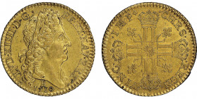 Louis XIV 1643-1715
Double Louis d'or au soleil, Rouen, 1710 B, AU 13.5 g.
Ref : G.264 (R2), Fr. 443
Conservation : NGC AU 58. Magnifique exemplaire. ...