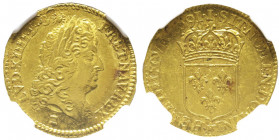 Louis XIV 1643-1715
1/2 Louis d'or à l'écu, reformation, Limoges, 1691 I, AU 
Ref : G. 239 (R), Fr. 430
Conservation : NGC MS 61. Très rare dans cette...