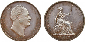 William IV 1830-1837
Proof Penny, 1831, Cu
Ref : S.3845
Conservation : NGC PROOF 63 BN