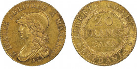 République Subalpine 1800-1802
20 Francs AN 9, A' Turin, 1800, AU 6.45g.
Ref : G. IT 5/1b, Pag.3, Fr.1172
Conservation : NGC AU 58. Superbe. ACCENT DR...