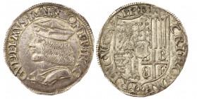 Casale
Guglielmo II Paleologo 1494-1518
Testone, Casale, AG 9.43 g.
Ref : MIR 185 (R), Biaggi 927
Conservation : presque FDC. Rare.