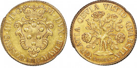 Pezza d'oro della Rosa, Livorno, 1718, AU
Ref : MIR 69 (R3), Fr. 466, KM#40
Conservation : NGC MS 61