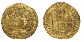 Fernando I d'Aragona (Ferrante) 1458-1494
Ducato, Napoli, AU 3.46 g.
Ref : MIR 64/7, Pannuti Riccio 9b, Fr. 819
Conservation : NGC AU 58. Superbe