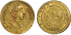 Carlo di Borbone 1734-1759
Oncia, Palermo, 1734, AU 4.42 g.
Ref : MIR 547/1 (R), Sp. 1 Fr. 887
Conservation : NGC MS 61. Rare