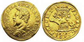 Ranuccio I Farnese 1592-1622
2 Doppie, Piacenza, 1607, AU 12.80 g.
Ref : MIR 1152/6 (R), CNI 11/12, Fr. 907
Conservation : TTB