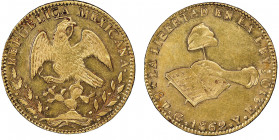 Mexico Republique
8 escudos, Guanajuato, 1862 PF, AU 27,04 g. Ref : KM#383.11, Fr. 75
Conservation : NGC MS 61. D'aspect flan bruni