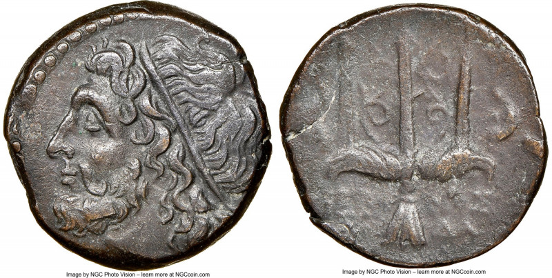 SICILY. Syracuse. Hieron II (ca. 275-215 BC). AE litra (19mm, 1h). NGC Choice XF...