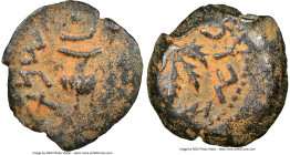 JUDAEA. The Jewish War (AD 66-70). AE prutah (18mm, 5h). NGC VF, repatinated. Jerusalem, Year 2 (AD 67/8). Year two (Paleo-Hebrew), amphora with broad...