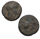 200-133 a.C. Pérgamo. AE15. Ae. 2,91 g. Cabeza de Atenea con casco ornamentado con estrella /Búho de cara con alas abiertas en rama de palmera. MBC-. ...
