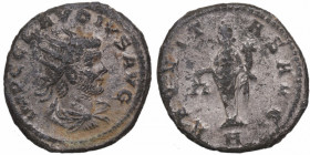 268-270 d.C. Claudio II El Gótico. Ticino. RCV III 11316. Ae.  Cabeza irradiada de Claudius Gothicus a la derecha "IMP C CLAVDIVS AV / "AEQVITAS AVG" ...