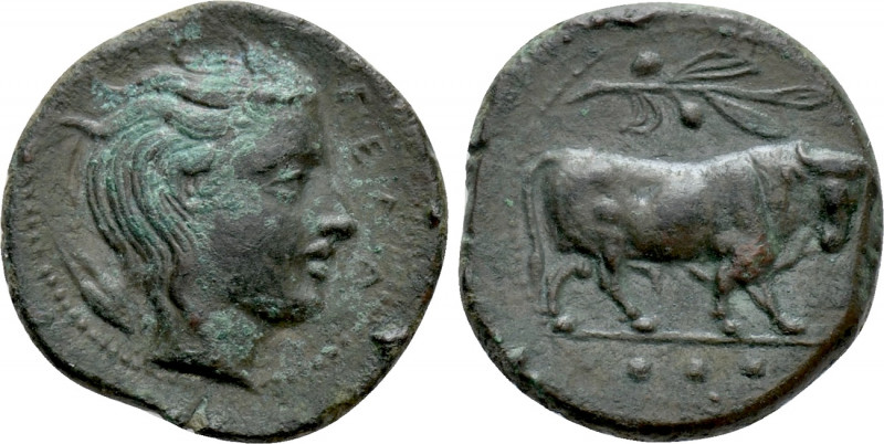 SICILY. Gela. Ae Tetras (Circa 420-405 BC). 

Obv: Bull standing right; branch...