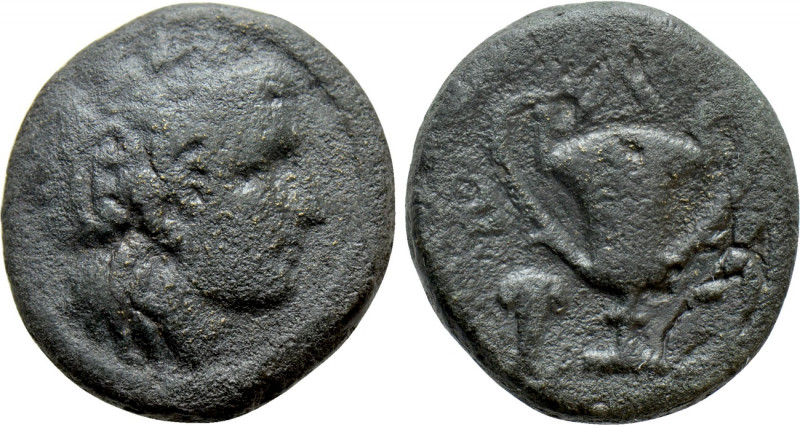 THRACE. Alopekonnesos. Ae (Late 4th century BC). 

Obv: Head of Maenad right, ...
