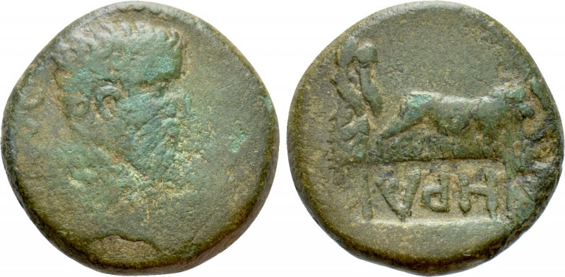 MACEDON. Philippi. Tiberius (14-37). Ae. 

Obv: TI AVG. 
Bare head right.
Re...