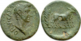 MACEDON. Philippi (?). Drusus (Died 23). Ae