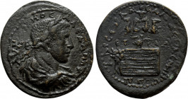 PONTUS. Amasia. Severus Alexander (222-235). Ae. Dated CY 234 (AD 232/3)