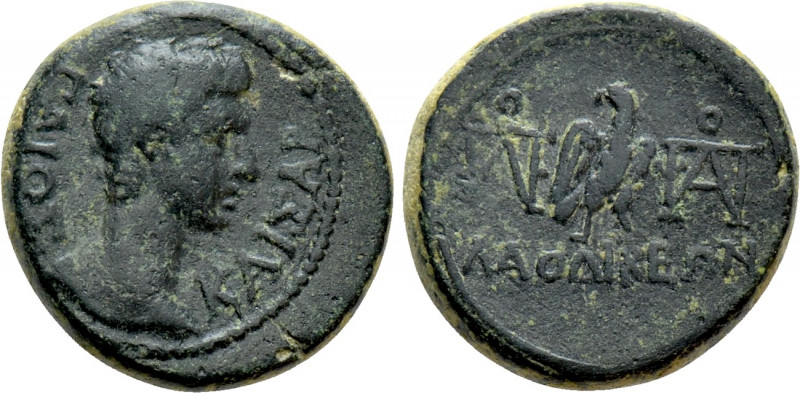 PHRYGIA. Laodicea ad Lycum. Caius (Caesar, 20 BC-4 AD). Ae. Antonius Polemon, ma...
