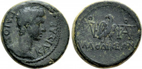 PHRYGIA. Laodicea ad Lycum. Caius (Caesar, 20 BC-4 AD). Ae. Antonius Polemon, magistrate. Struck under Augustus (27 BC-14 AD)