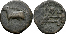 CYRENAICA. Cyrene. Semis (Circa 34-31 BC). A. Pupius Rufus, propraetor and quaestor