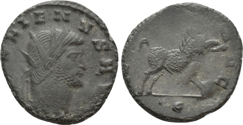 GALLIENUS (253-268). Antoninianus. Rome. 

Obv: GALLIENVS AVG. 
Radiate head ...