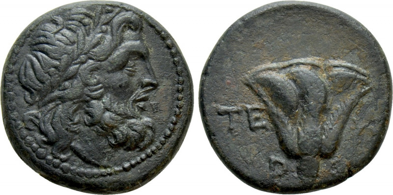 CARIA. Rhodes. Ae Tetrachalkon (Circa 229-205 BC). 

Obv: Laureate head of Zeu...