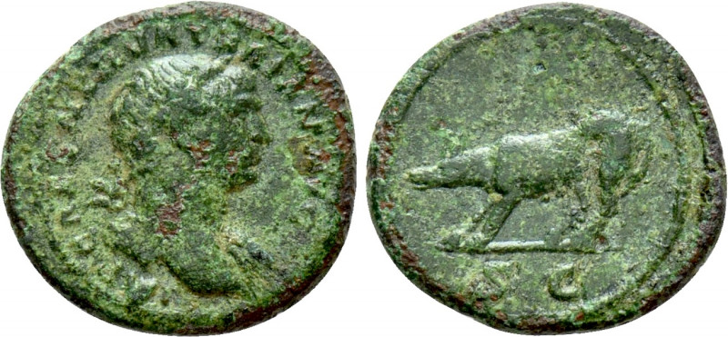 TRAJAN (98-117). Semis. Rome. 

Obv: IMP CAES NERVA TRAIAN AVG. 
Laureate bus...