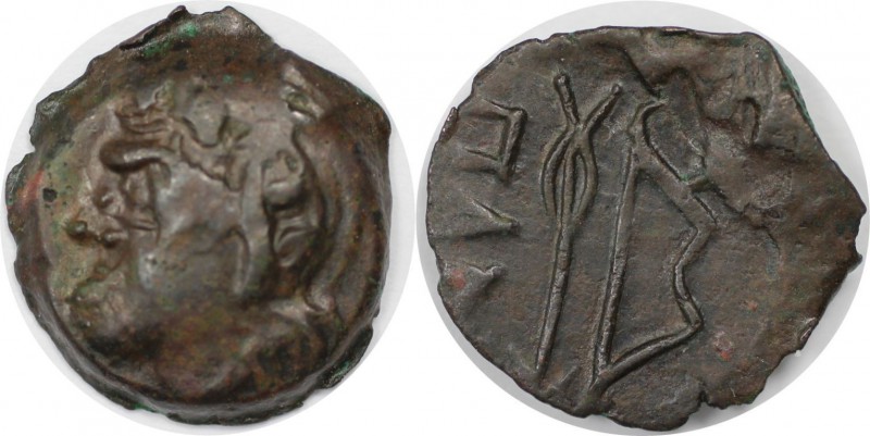 Griechische Münzen, BOSPORUS. Stadt Pantikapaion. Bronze (2.74g), 304-250 v. Chr...