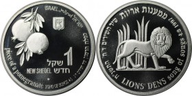 Weltmünzen und Medaillen , Israel. Wildleben - Löwe. 1 New Sheqel 1997, 0.43 OZ. Silber. KM 306. Stempelglanz