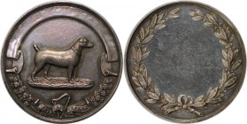 Medaillen und Jetons, Hundesport / Dog sports. Irland. Medaille 1900. 45 mm. Vorzüglich, Kratzer