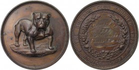Medaillen und Jetons, Hundesport / Dog sports. English Bulldog Club. Medaille 1899, 39 mm. Kupfer. Vorzüglich