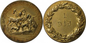 Medaillen und Jetons, Hundesport / Dog sports. "Orszagos Magyar Ebtenyesztö Egyesület Budapest". Medaille 1930, Gilt Bronze. 41 mm. Vorzüglich