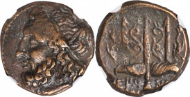 SICILY. Syracuse. Hieron II, 275-215 B.C. AE Litra, 263-218 B.C. NGC Ch VF.

HGC-2, 1550. Obverse: Head of Poseidon left, wearing tainia; Reverse: O...
