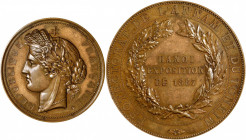 ANNAM. Annam - France - French Indo-China. Hanoi Exposition Bronze Award Medal, 1887. Paris Mint. CHOICE UNCIRCULATED.

By E. A. Oudine. Diameter: 7...