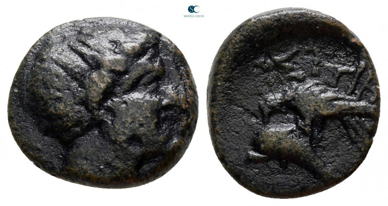 Moesia. Istrus circa 325-275 BC. 
Bronze Æ

12 mm, 1,68 g



very fine