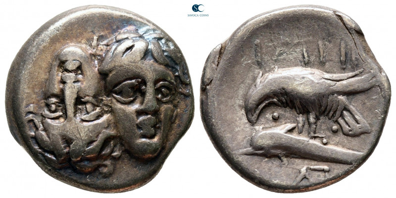 Moesia. Istrus circa 313-280 BC. 
Drachm AR

19 mm, 5,61 g



very fine
