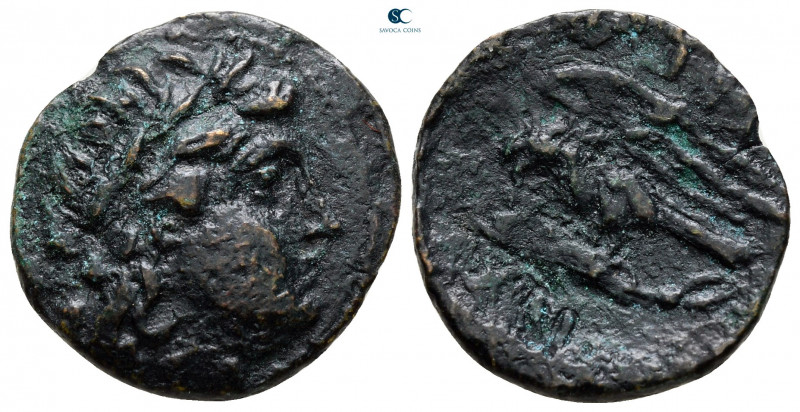 Moesia. Istrus circa 300-200 BC. 
Bronze Æ

20 mm, 3,48 g



fine