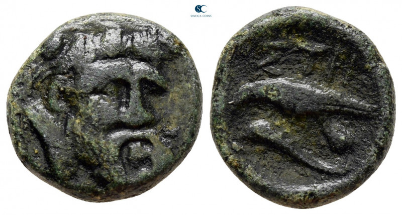 Moesia. Istrus circa 300-200 BC. 
Bronze Æ

15 mm, 4,11 g



very fine
