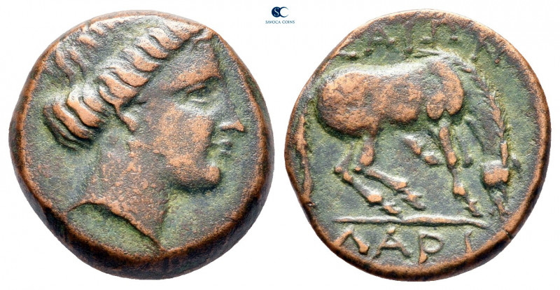 Thessaly. Larissa circa 350 BC-AD 300. 
Bronze Æ

17 mm, 3,52 g



very f...