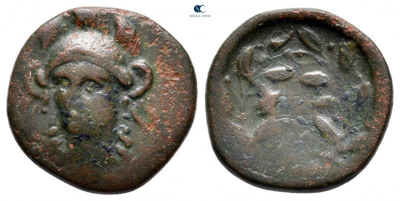 Phokis. Federal Coinage circa 400-300 BC. 
Bronze Æ

15 mm, 2,32 g



ver...