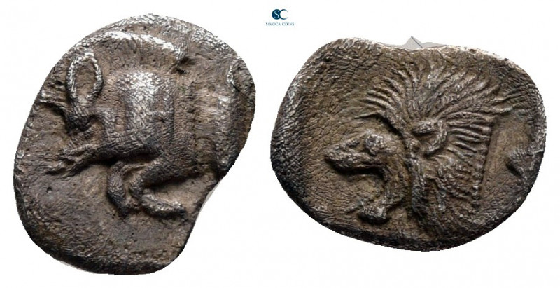 Mysia. Kyzikos circa 525-475 BC. 
Hemiobol AR

8 mm, 0,35 g



very fine