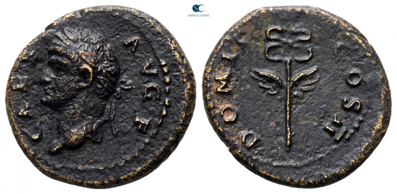 Domitian as Caesar AD 69-81. Struck in Rome for circulation in Seleucis and Pier...