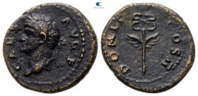 Domitian as Caesar AD 69-81. Struck in Rome for circulation in Seleucis and Pieria. Quadrans Æ