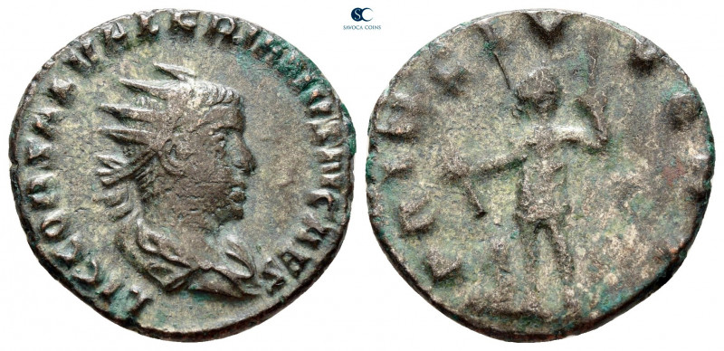 Saloninus, as Caesar AD 258-260. Rome
Antoninianus Æ

18 mm, 3,16 g



ve...