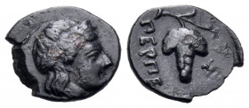 MYSIA. Perperene. Circa 4th century BC. Chalkous (Bronze, 10 mm, 0.61 g, 10 h). Laureate head of Apollo to right. Rev. ΠΕΡΠΕ Grape bunch on vine. Bart...