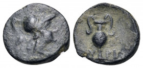 AEOLIS. Myrina. 2nd-1st century BC. Chalkous (Bronze, 10 mm, 0.77 g, 12 h). Head of Athena to right, wearing crested Corinthian helmet. Rev. MY-PI Amp...